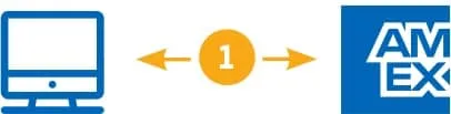 Amex Token Service Flow