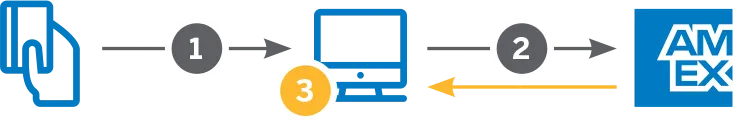Amex Token Service Flow